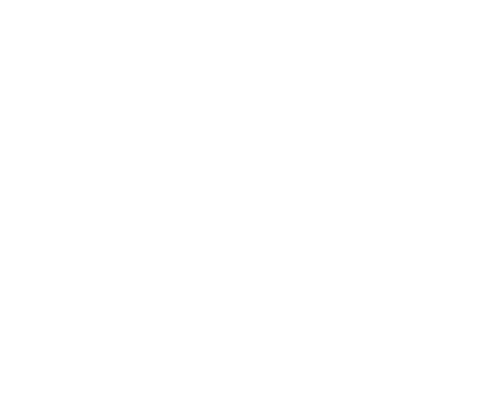 From Ryukyu to the Future